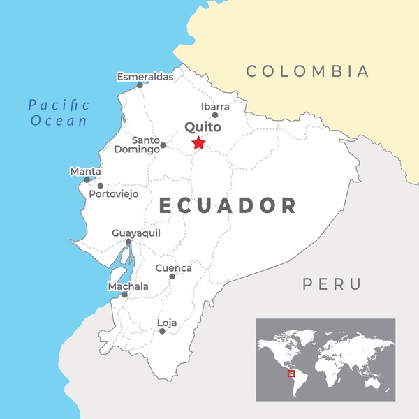 Análisis de Mercado 2023-2024: Las 11 Principales Ciudades de Ecuador y las Perspectivas para 2025