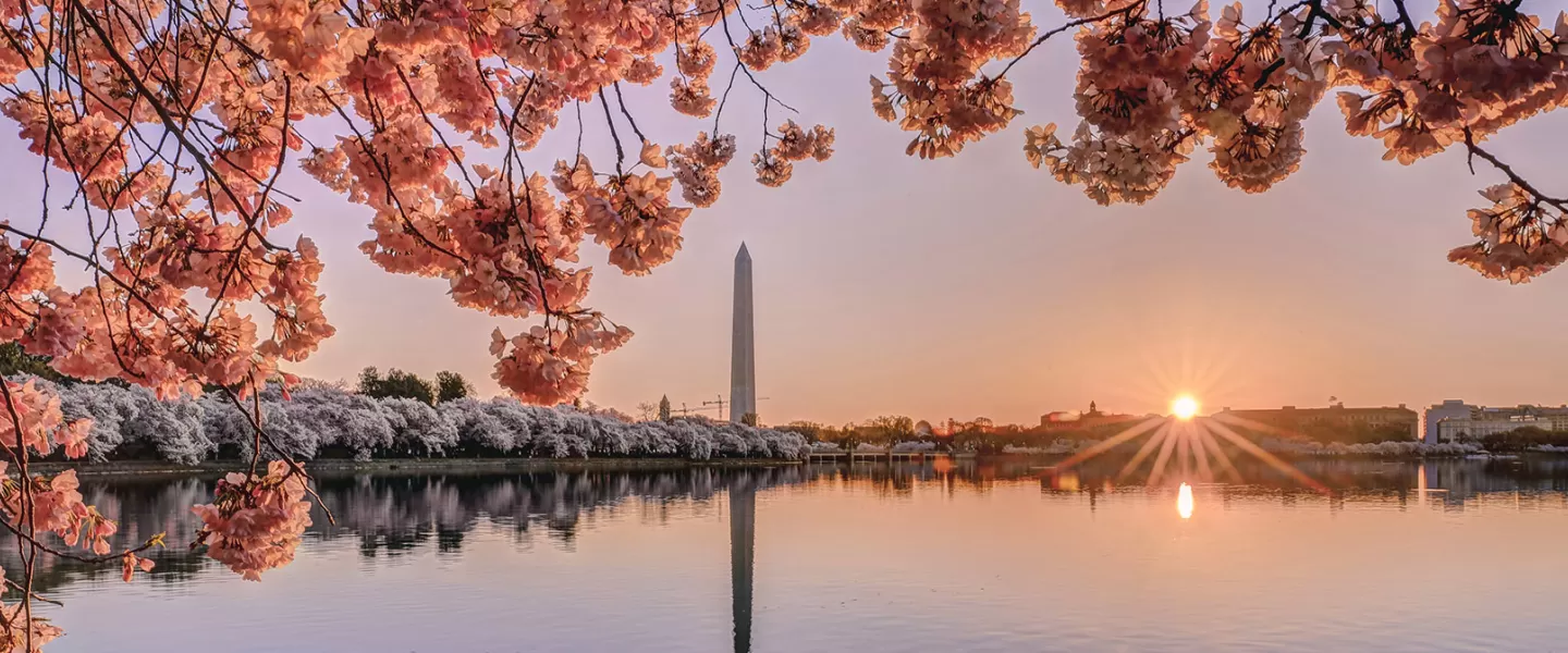 Tendencias del Mercado Inmobiliario en Washington, D.C. a Inicios de 2025